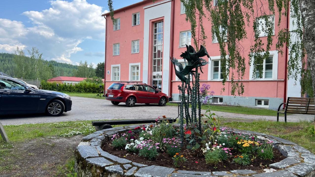 Vanha Koulu Suolahti Экстерьер фото
